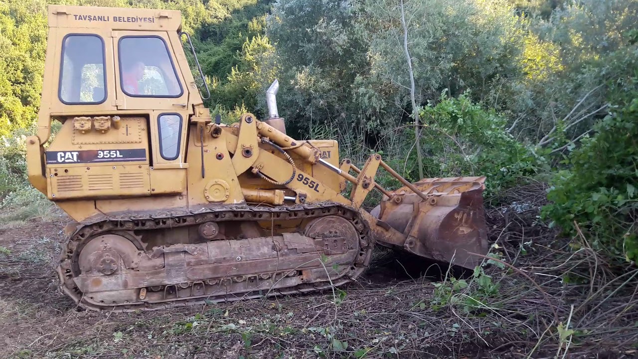 Cat 955