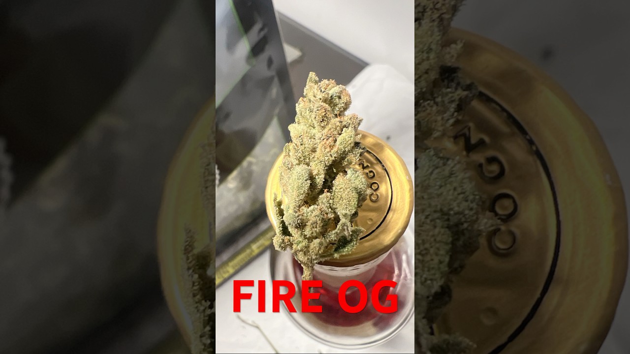 Fire og strain review