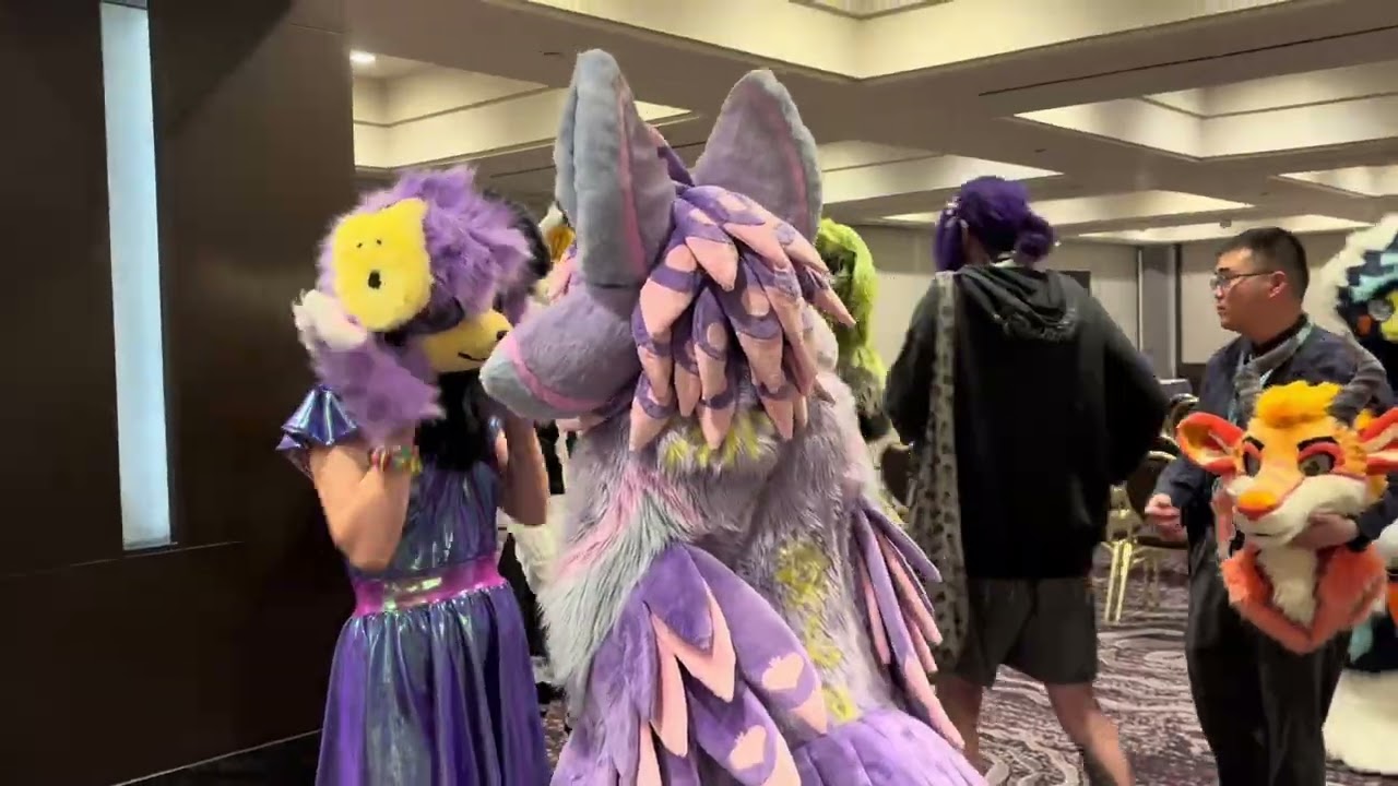 Yesterday Cookie Went to Golden State Fur Con in Los Angeles! 🍪