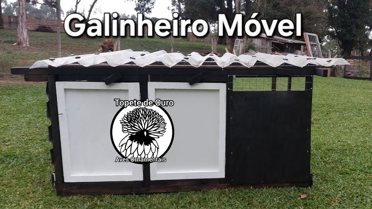Fabricamos um galinheiro móvel.Voltamos com a criação de uma raça maravilhosa. 🤍🐔🐓🐔🖤