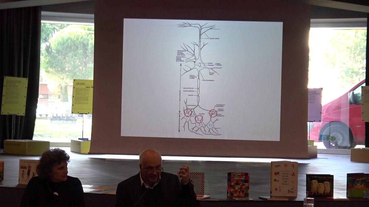 Incontro NPL 22 Febbraio 2020 - Intervento AIB Lombardia - Leonardo Fogassi
