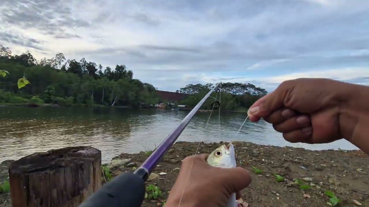 jangan di buli, saya hanya cari lauk buat makan