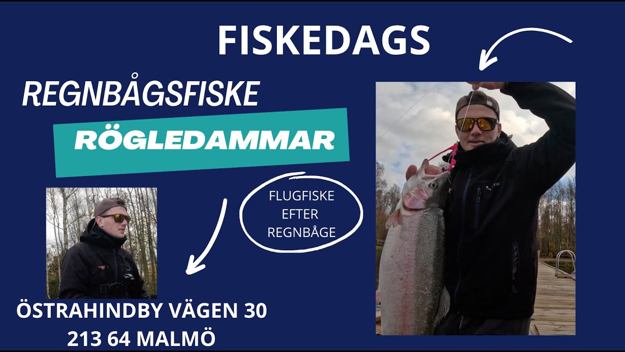 REGNBÅGSFISKE RÖGLE DAMMAR 1/2 (OKTOBER 2024)