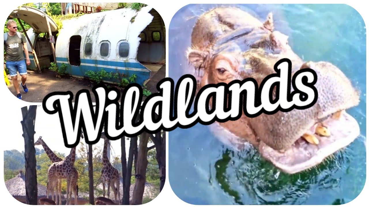 WILDLANDS in Emmen - Warum WILDLANDS in Holland ein Muss ist