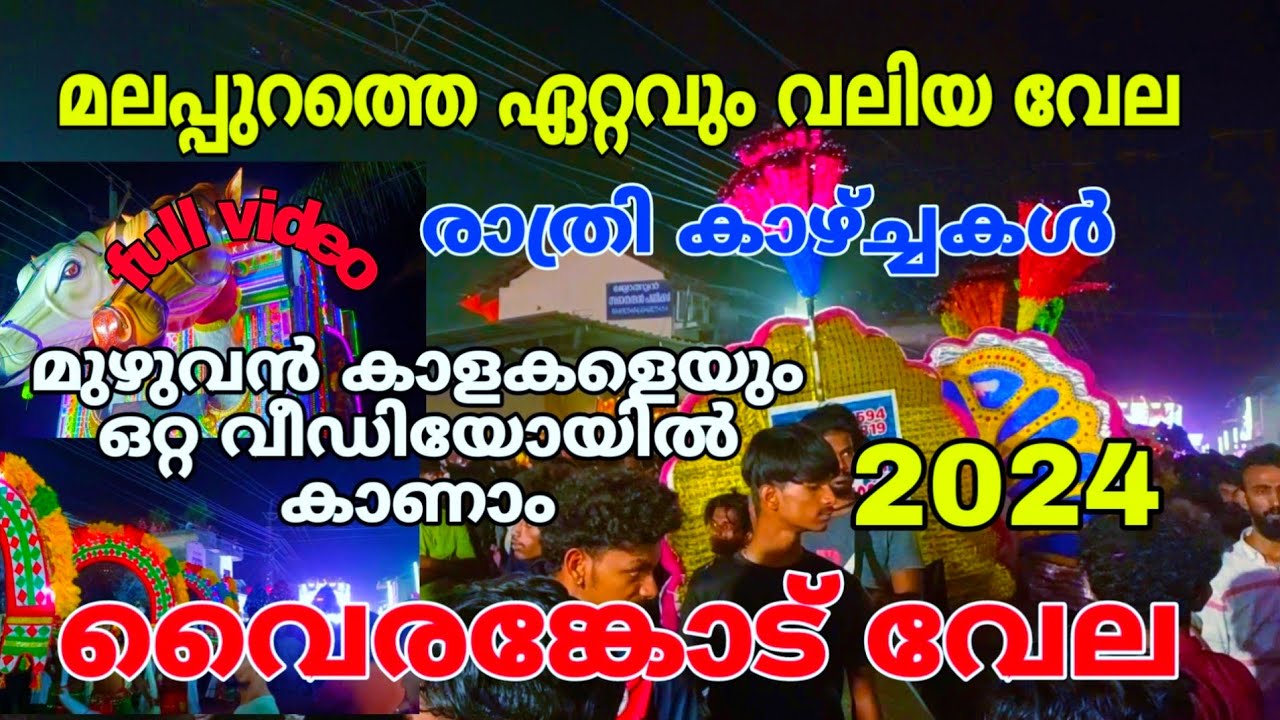 എല്ലാ കാളകളെയും ഒറ്റ വീഡിയോയിൽ കാണാം | വൈരങ്കോട് വേല 2024
