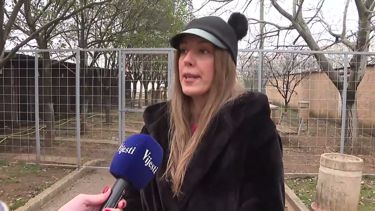 BOJE JUTRA - IMA LI RJEŠENJA ZA PSE LUTALICE? | Vijesti online