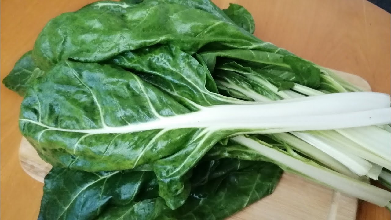 Bir Bağ  PAZI İLE Yaptım  Herkes Hayran Kaldı Yoğurtlu Pazı Salatası