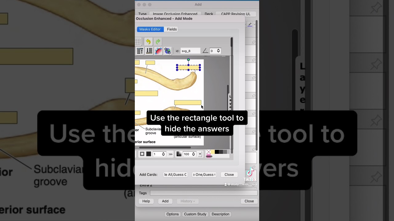 HOW TO STUDY ANATOMY: ANKI image occlusion