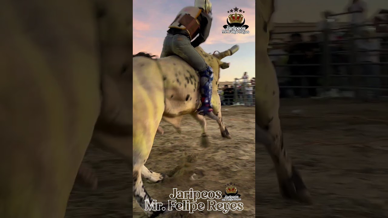 Guayabita de Jalisco vs aguacatero #jaripeo