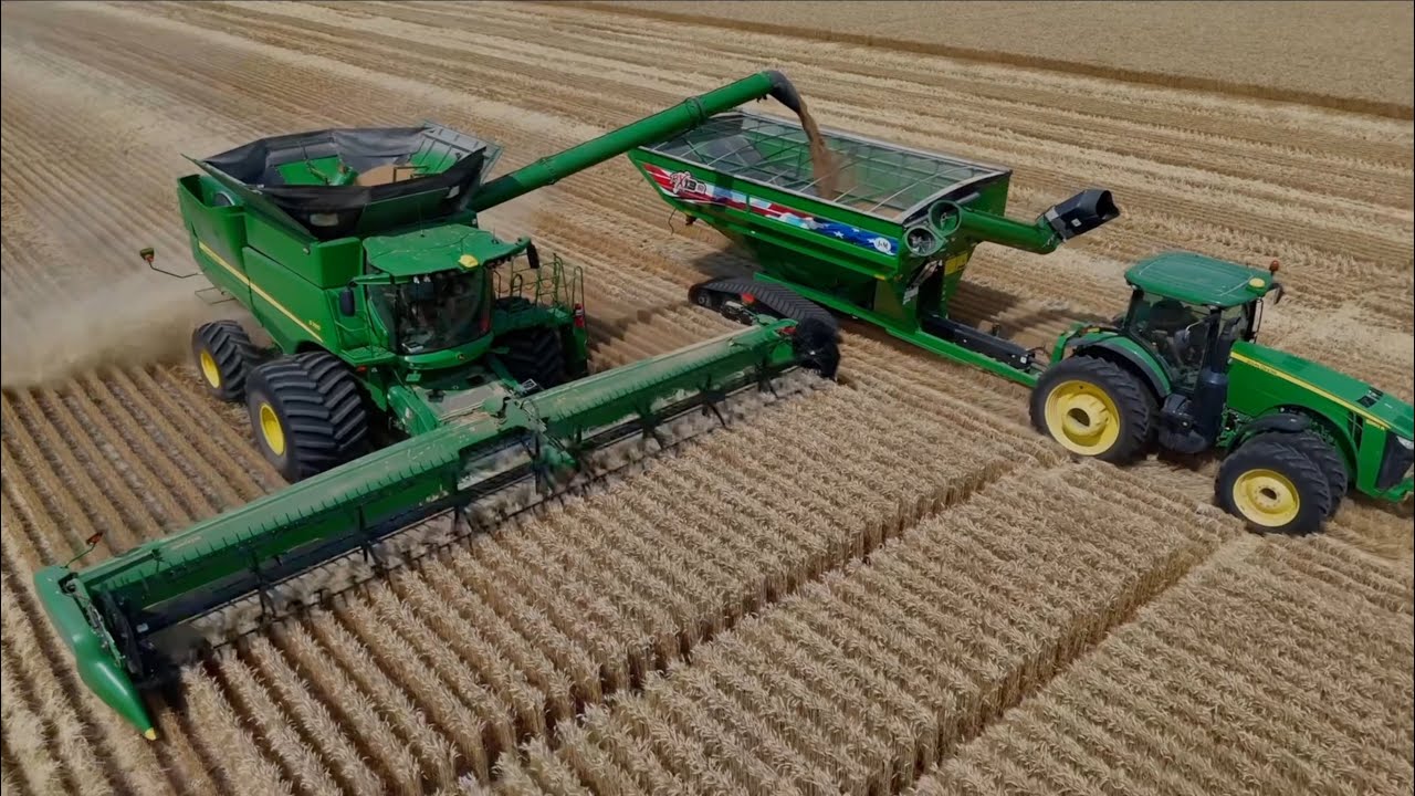 Wheat Harvest 2024 - Full Speed Ahead!