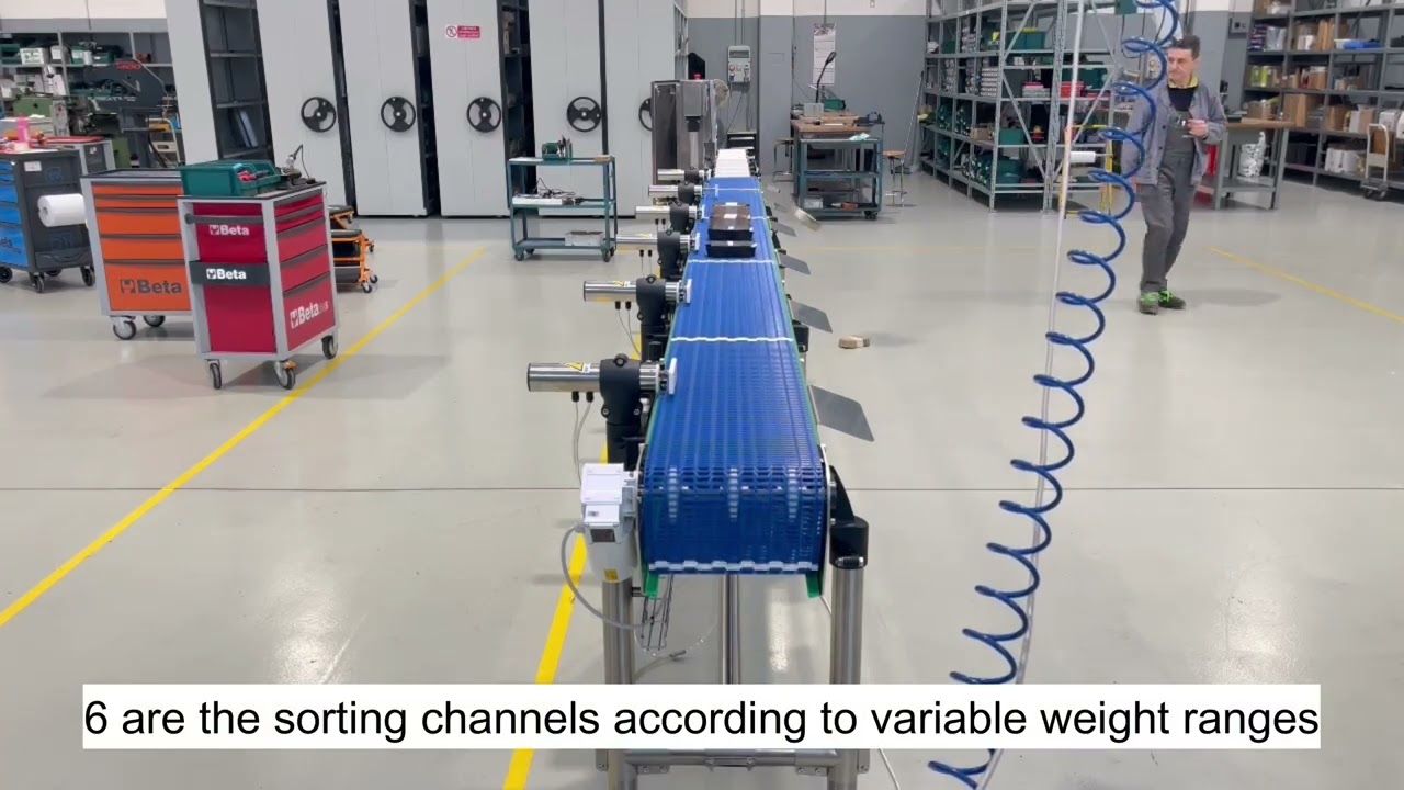 6 Channel IP69K Sorting: Cheese
