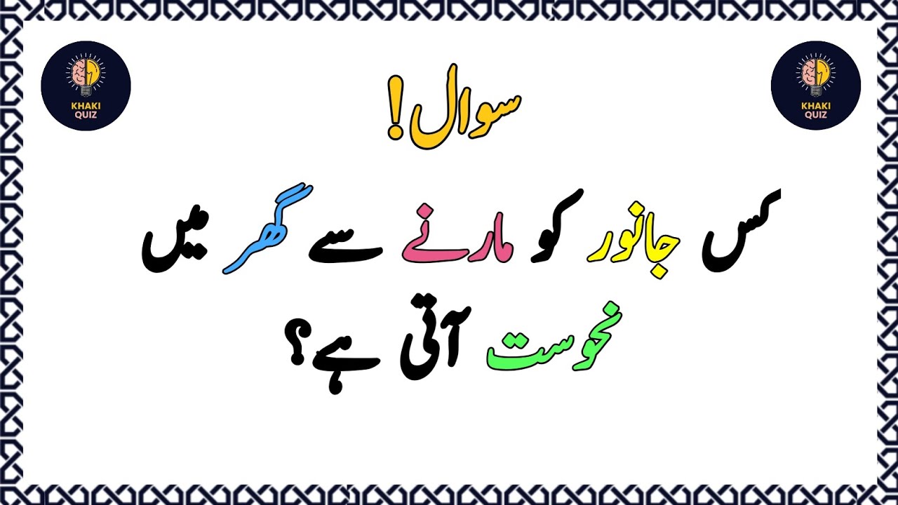 Amazing General Knowledge Questions In Urdu | Paheliyan in Hindi & Urdu | Islamic Quiz with Khaki