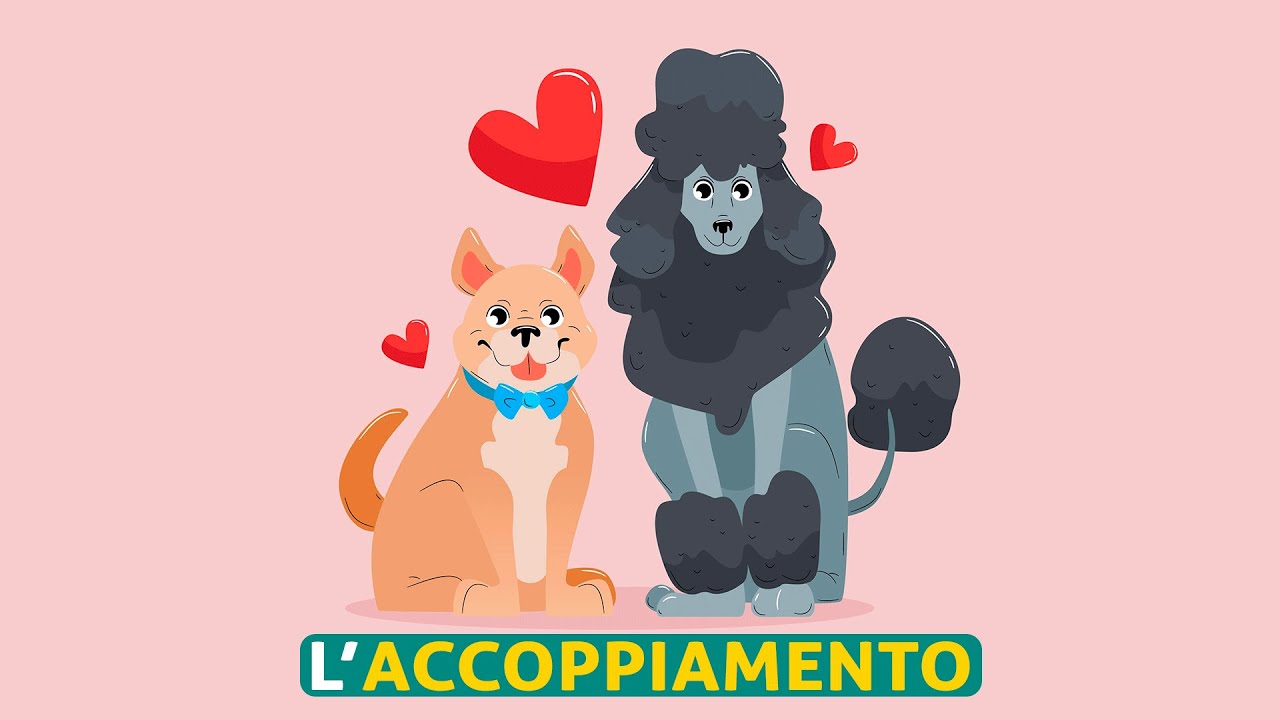L'Accoppiamento