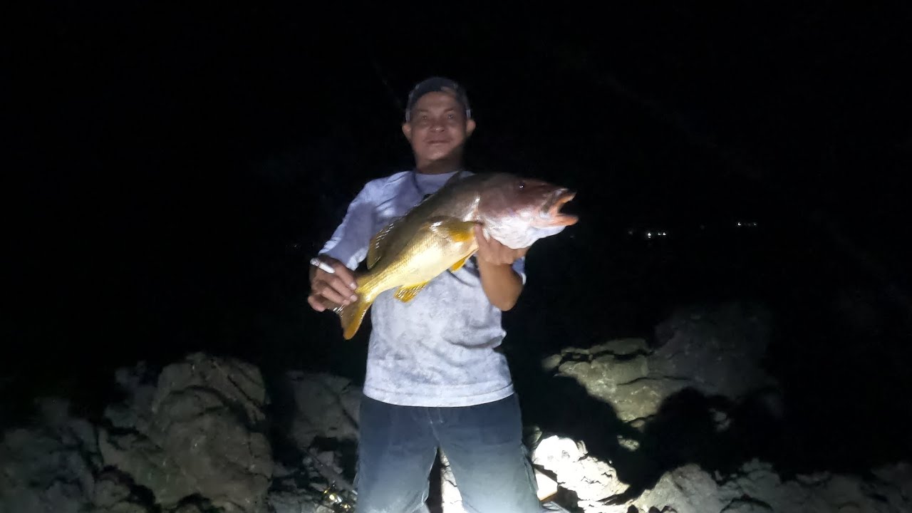 HASIL SEMALAMAN NONGKRONG DI KARANG PINGGIR LAUT GAES‼️