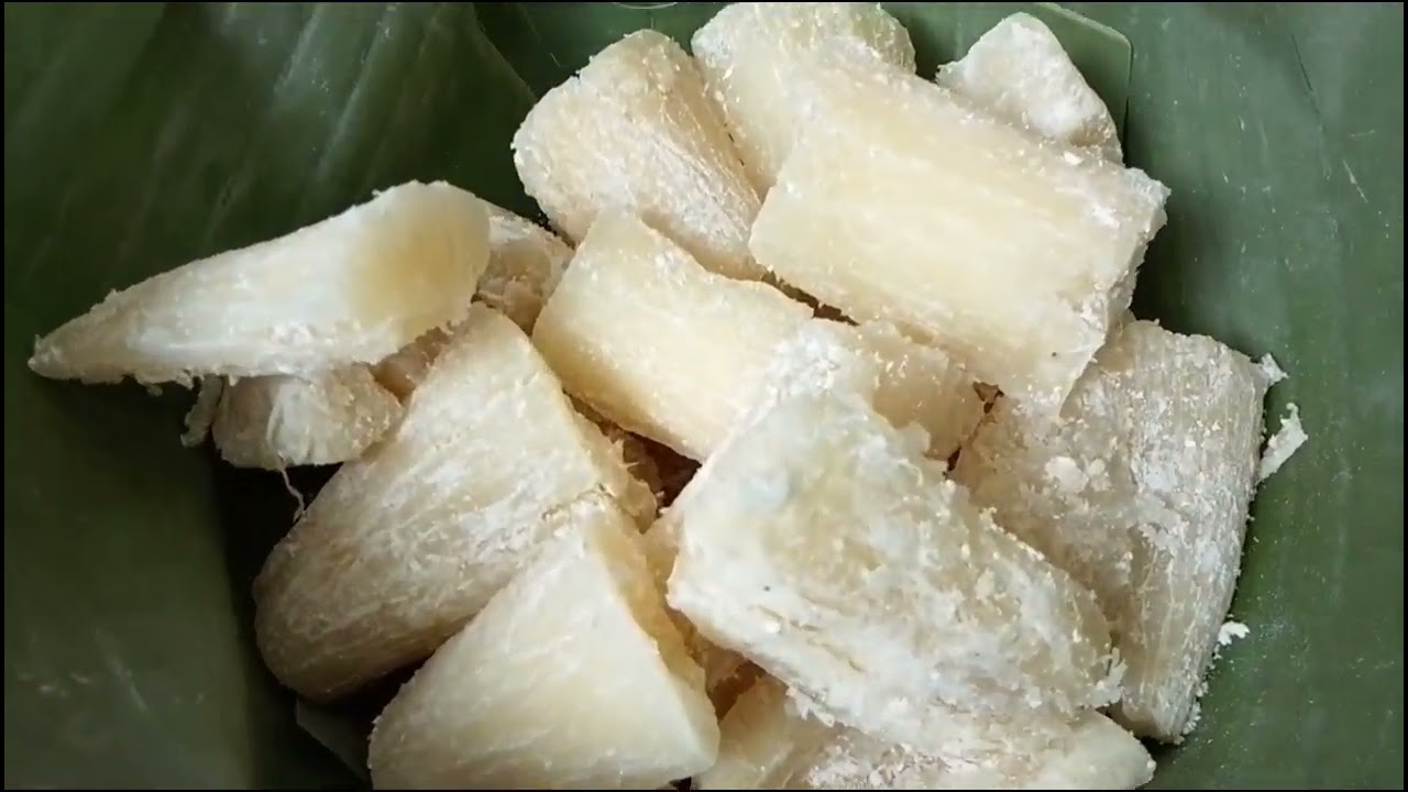 Cara membuat tape singkong Praktek IPA SMP NEGERI 10 PURWOKERTO