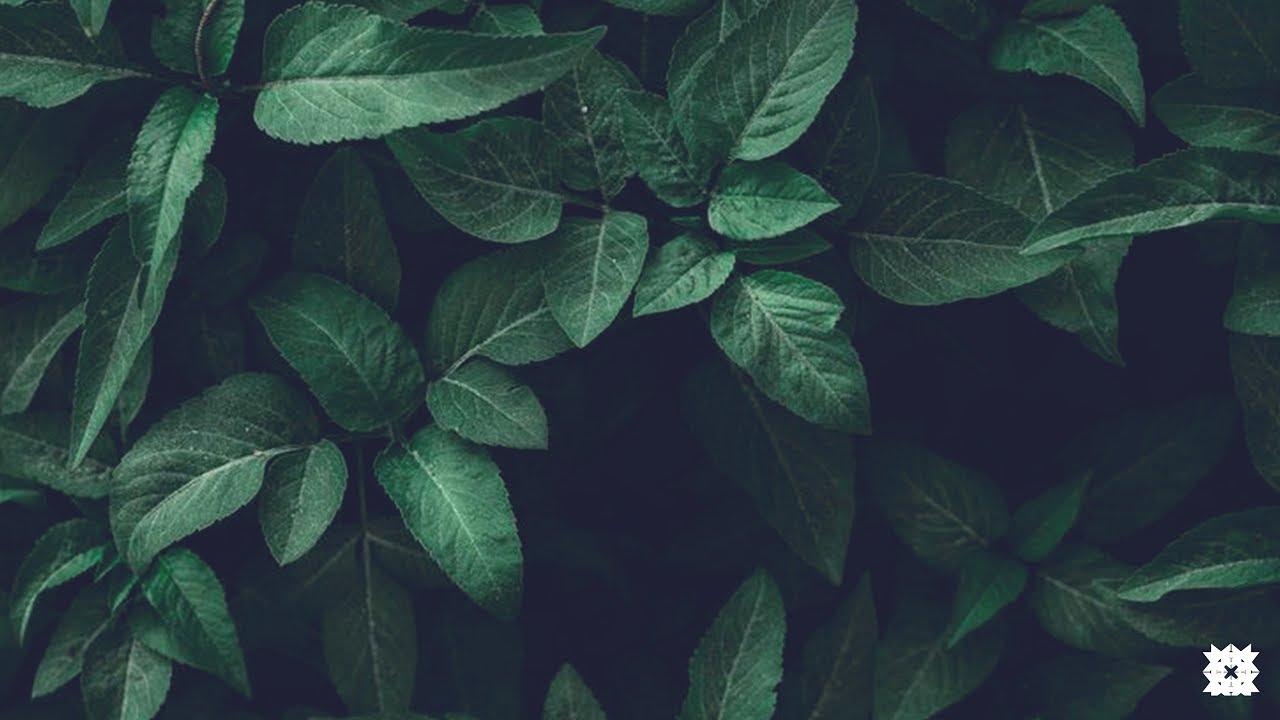 [ FREE ] dancehall instrumental riddim 2019 - 