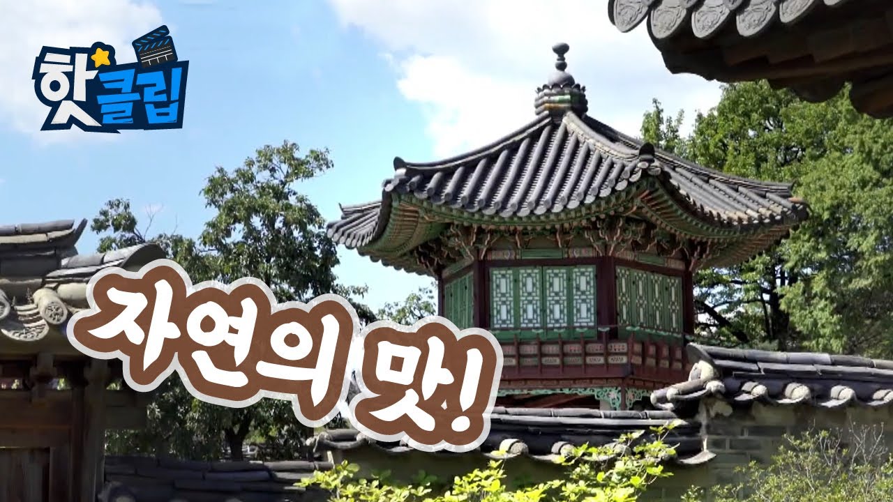 우리나라 정원의 특징 [핫클립] / YTN 사이언스