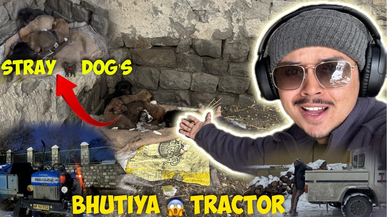 Tractor 🚜 ma aai Aatma 😱 !! My New 🐶 Gang 🐶❤️ !! @GULLVloges ! 