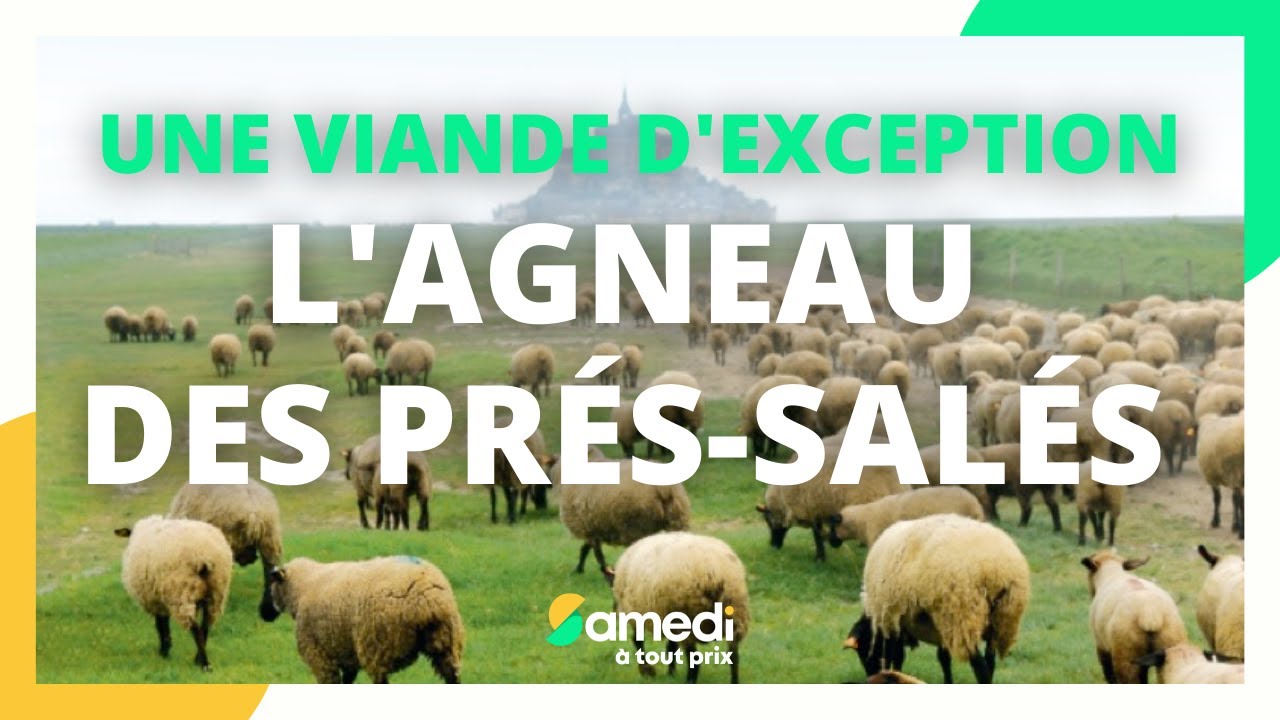 L'agneau des prés-salés : une viande d'exception - Samedi à tout prix