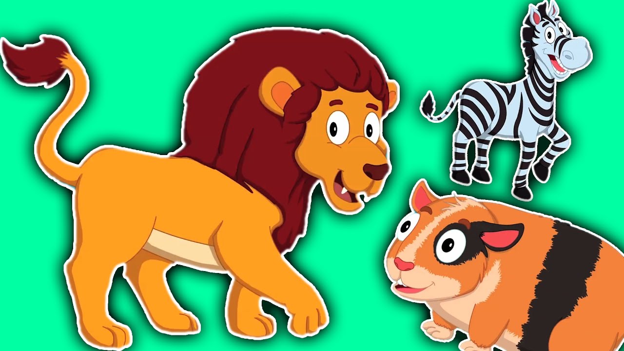 Sonido animal canción | Rima infantil | educativo Vídeo | Nursery Rhyme For Kids| Animal Sound Song