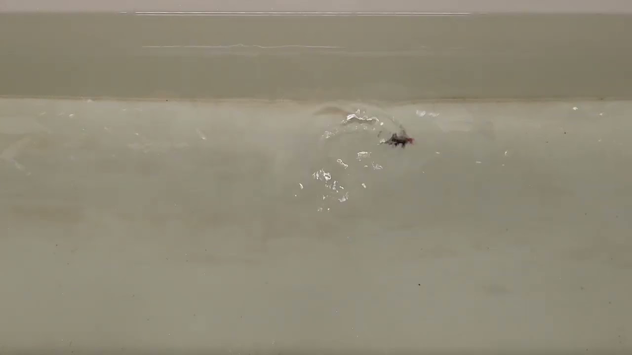Heta vaapun Bleak 55 ice pilkki/ kuolleenuinnin jigi uinti.