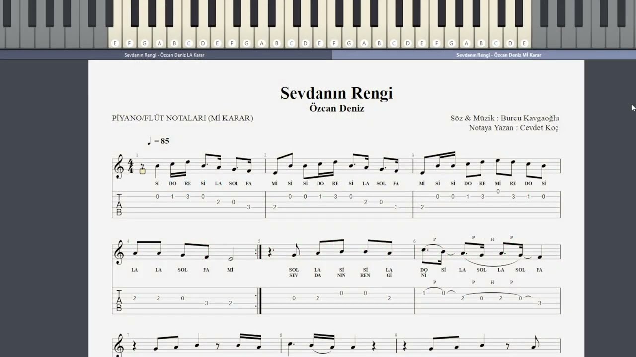 Sevdanın Rengi - Özcan Deniz  NOTA SOLFEJ