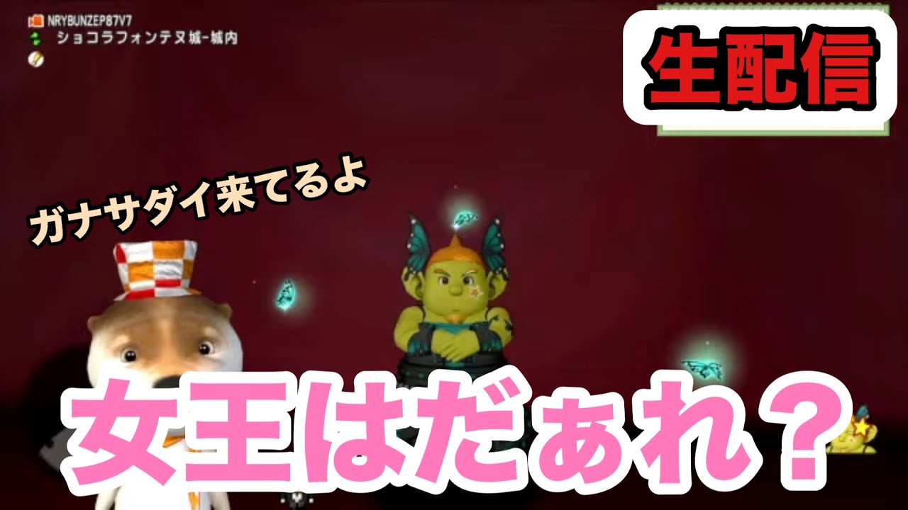 [ドラクエ10生配信]No.331 ver7.6前期 ウィリーデ１サポ討伐など 2026年2月12日