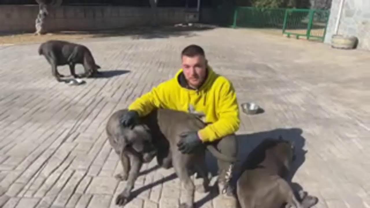 Pablo, date prisa que NOS VISITA NYNO VARGAS