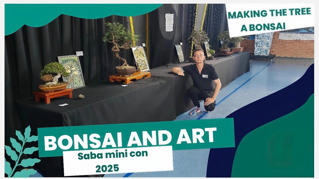Bonsai and art. Saba mini con 2025