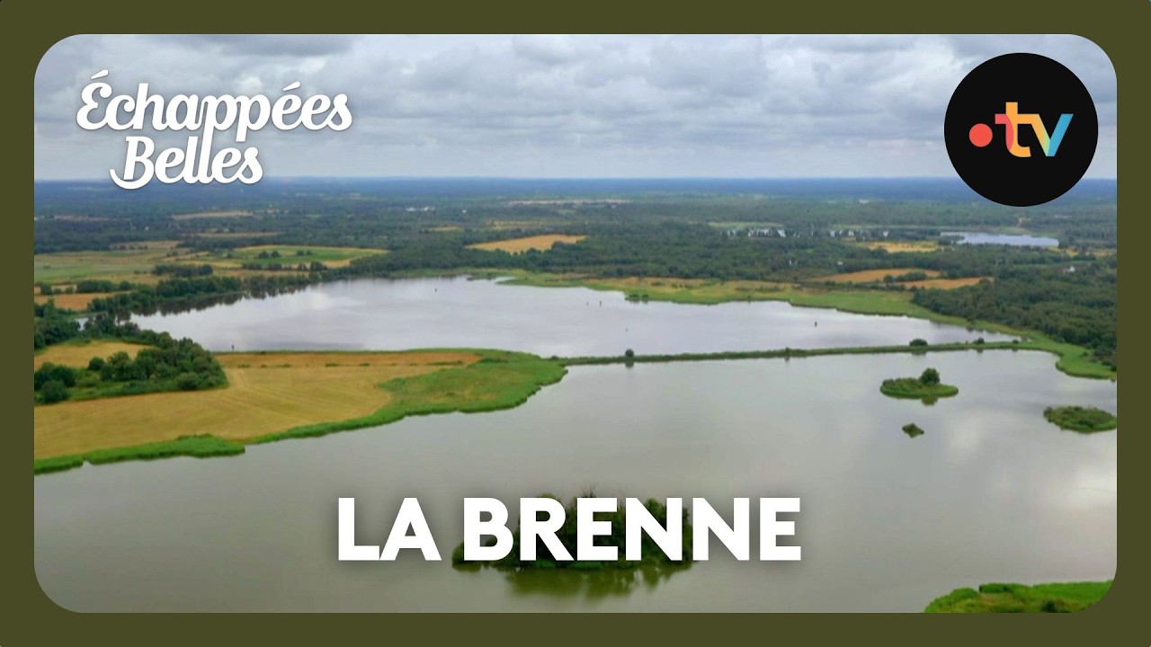 Le Berry : balade à cheval dans le parc naturel de la Brenne - Échappées belles 8 février 2025