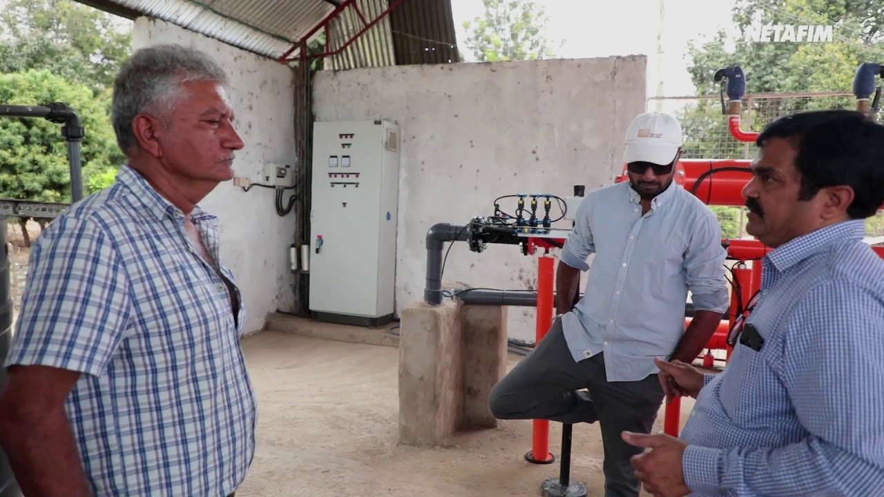 Sugarcane Tanzania: Fighting climate change I Netafim