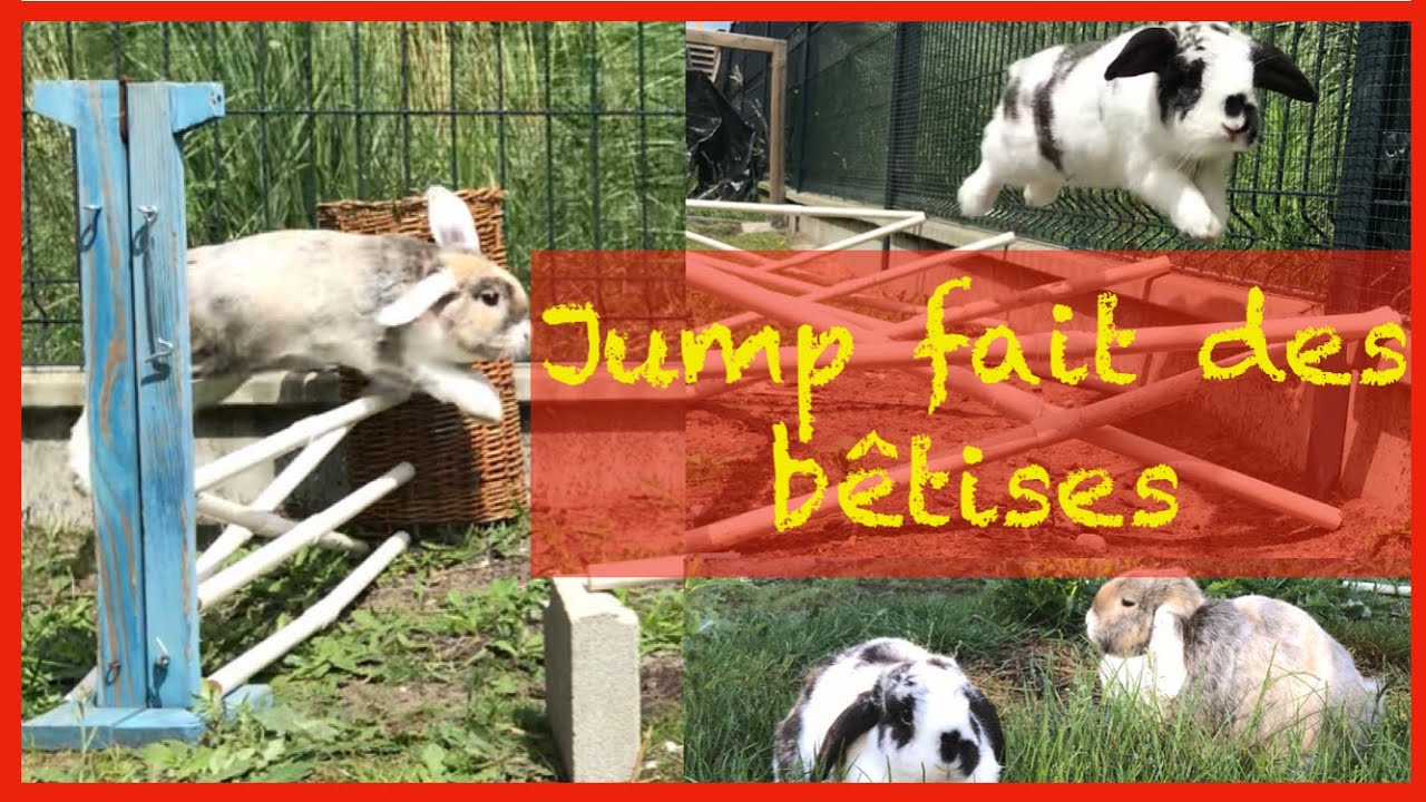 {Lapins}Vlog avec Lola et Jump (+saut)