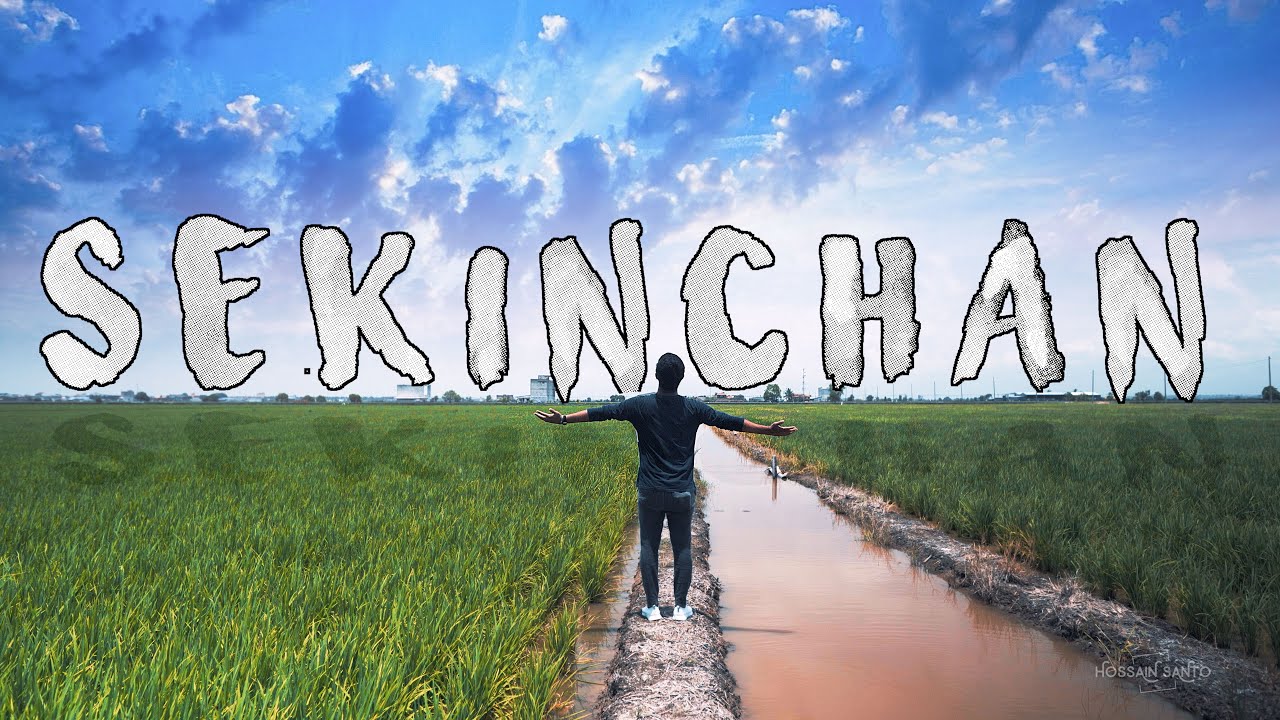 Sekinchan || Cinematic view of paddy fields || Selangor || Malaysia 2020