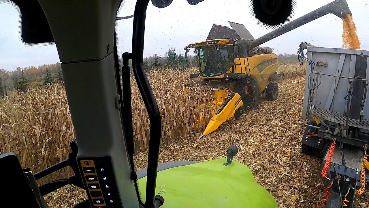 #vlog 138 Kosimy dalej na 2 Kombajny , Dalej bez rekordów