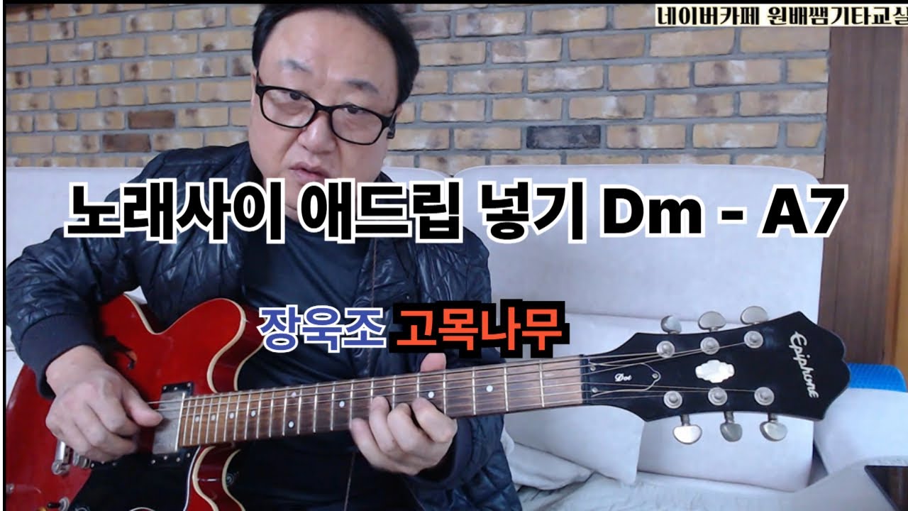 (원배쌤기타교실) 노래사이 애드립넣기 (고목나무)