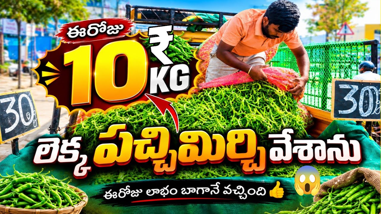 10₹kg  లెక్క వేశాను 😜🌶️ లాభం ఇంత ఊహించలేదు 😱💰💸💵#Bowenpally #vegetables #viral #trending 