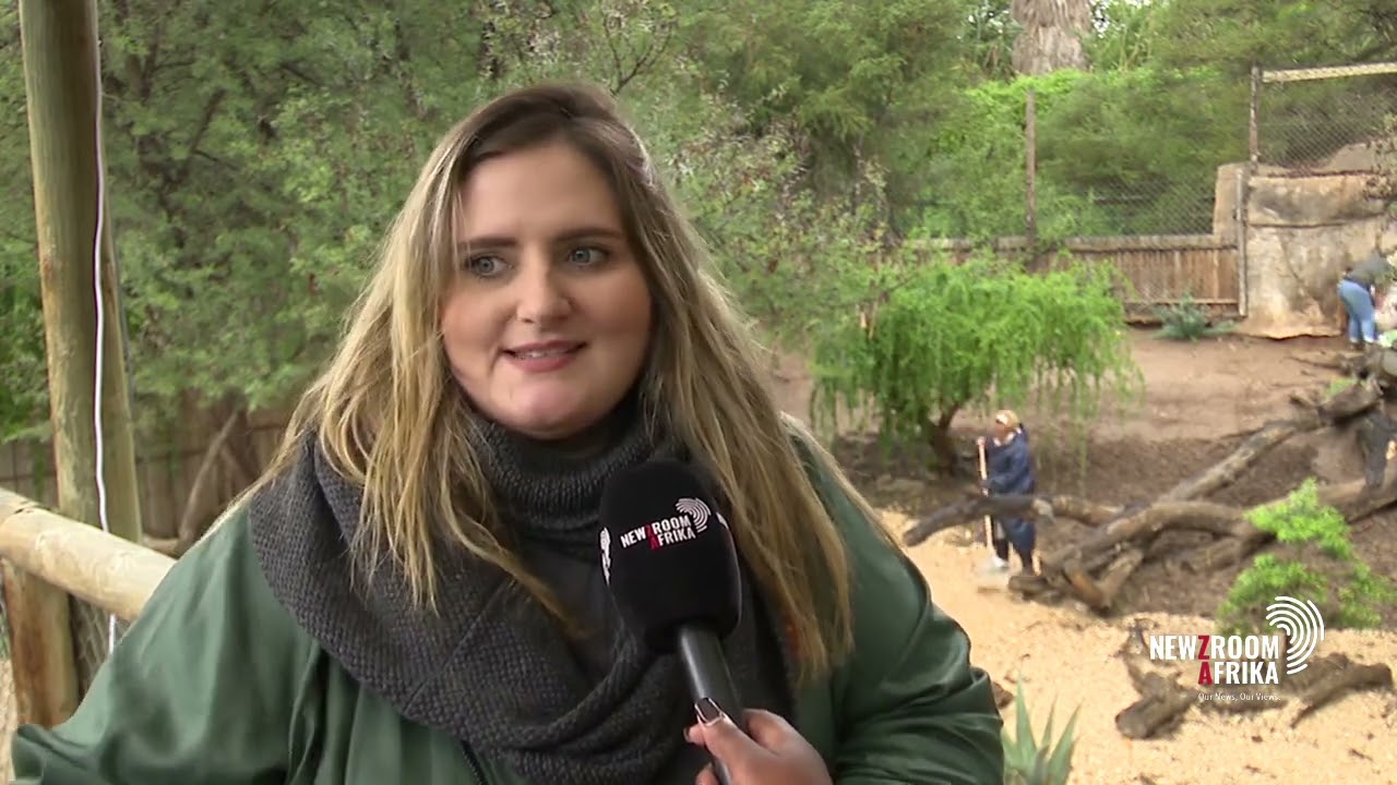 Flood damages: Oudtshoorn authorities take stock