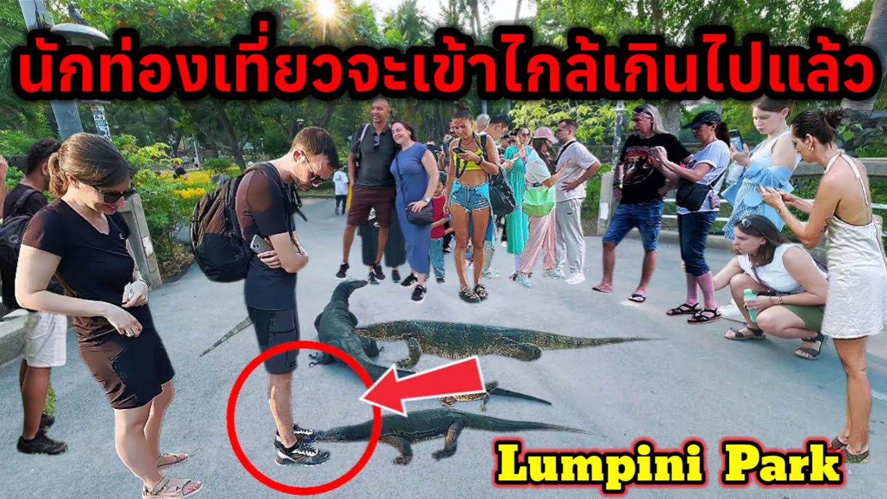 ไม่กลัวอันตรายนักท่องเที่ยวชาวต่างชาติจะเข้าไกล้เกินไปแล้ว