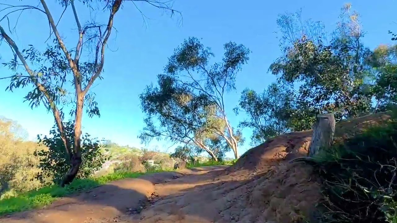 Hiking Hosp Grove Trail- Carlsbad California