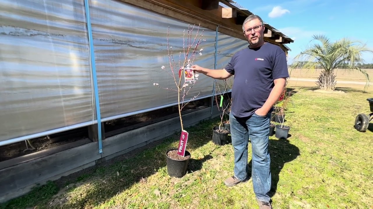 Understanding the Sub Tropical Complexities of Zone 9a!