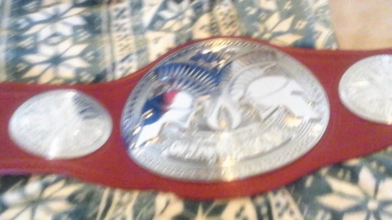 My new wwe replica belt