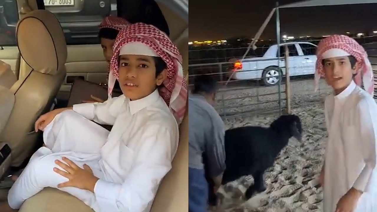 الشيخ احمد رايح يذبح ٢ طليان عشان قصيدة الكاشف 😂 #فراج_قزيع_السهلي سنابات فراج قزيع السهلي