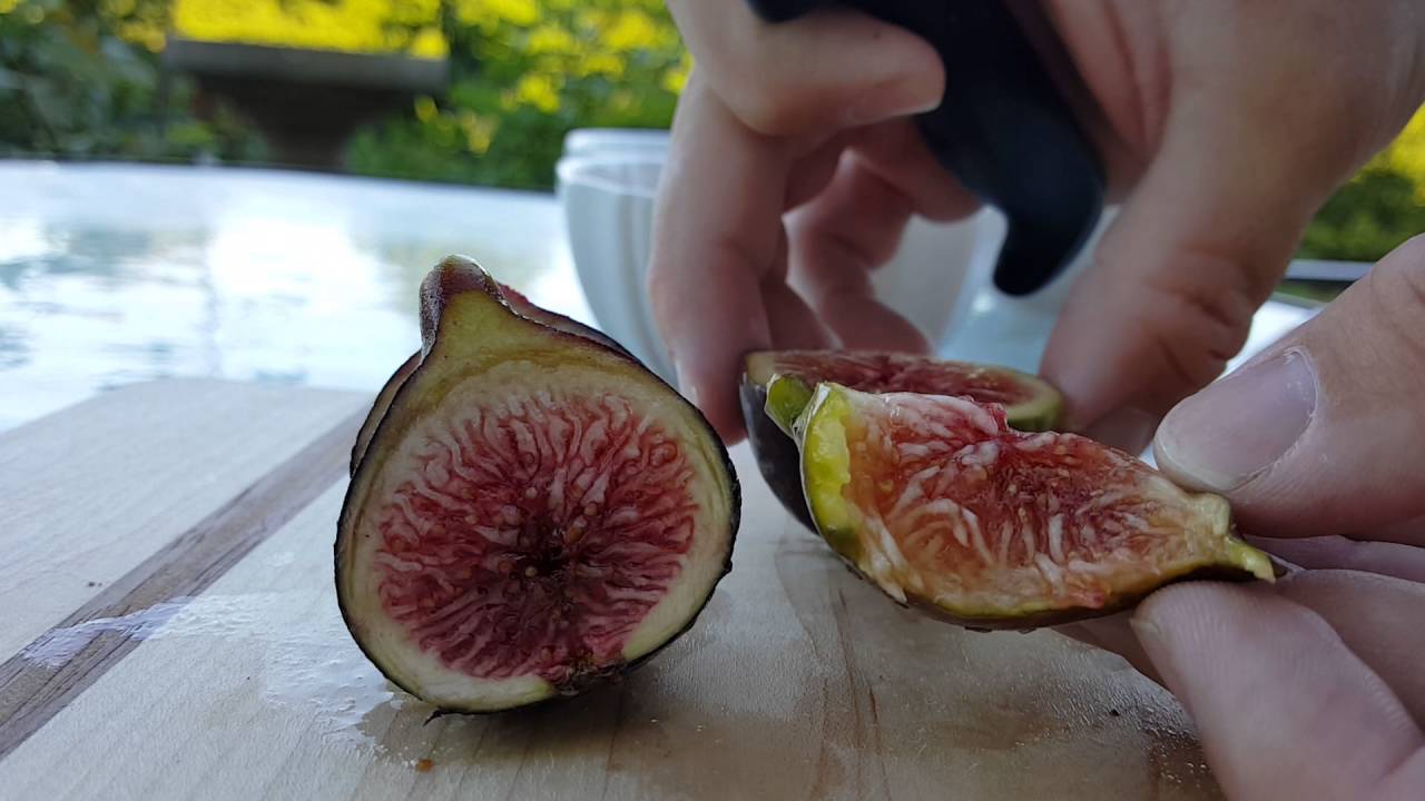 Black Madeira versus I-258 Figs