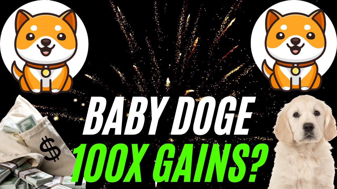 Baby Doge Holders Will Be REWARDED In the End!