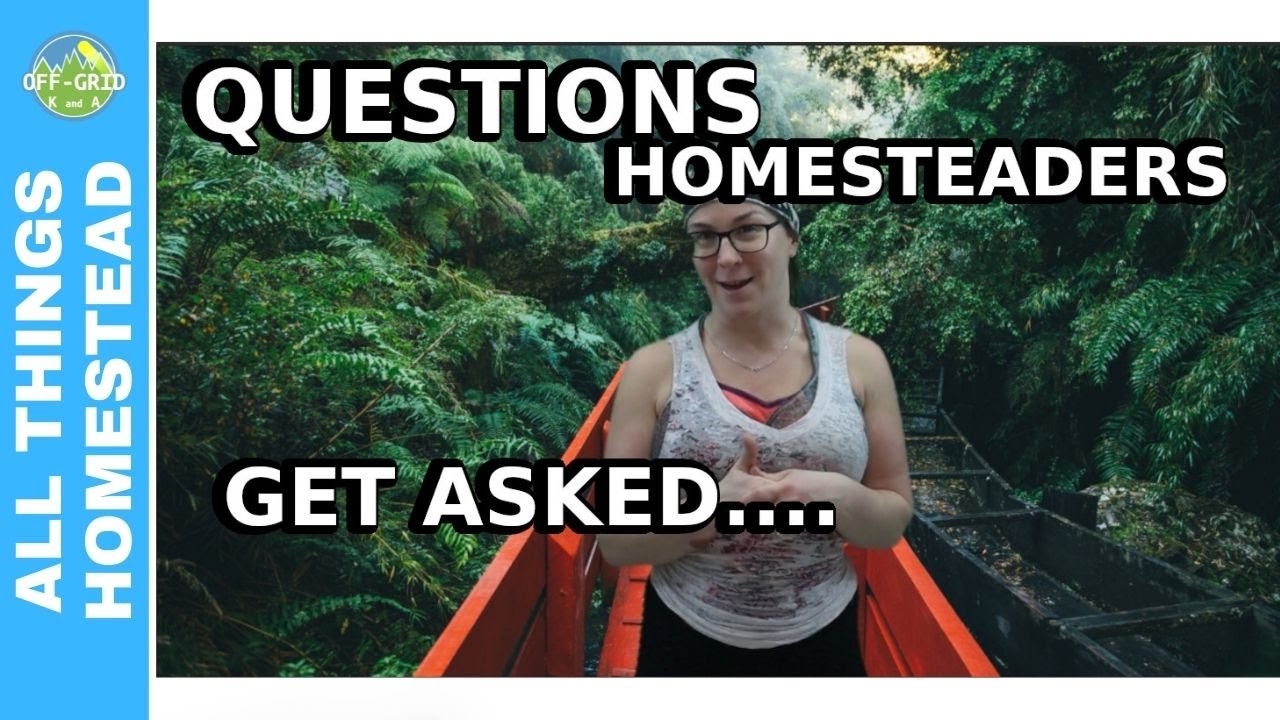 Off Grid Water Systems - Gravity Flow Surface Water // Homestead Life