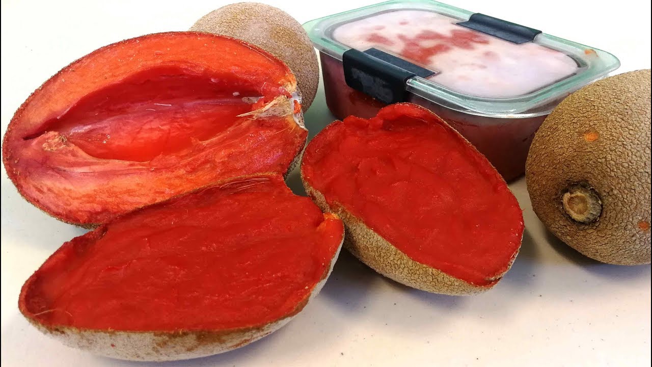 Como Hacer Pulpa de Mamey en Casa