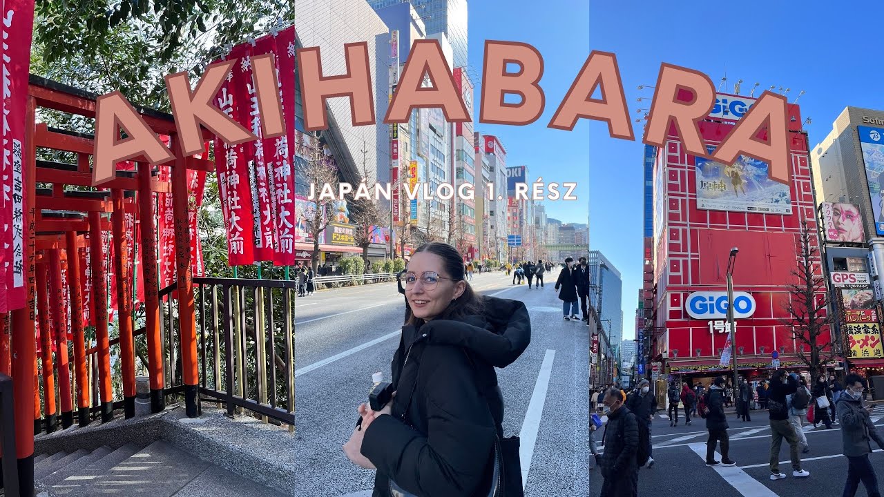 Hie-shrine, gyönyörű Tokyo és végeláthatatlan anime merchök | Japán vlog 1. rész🇯🇵