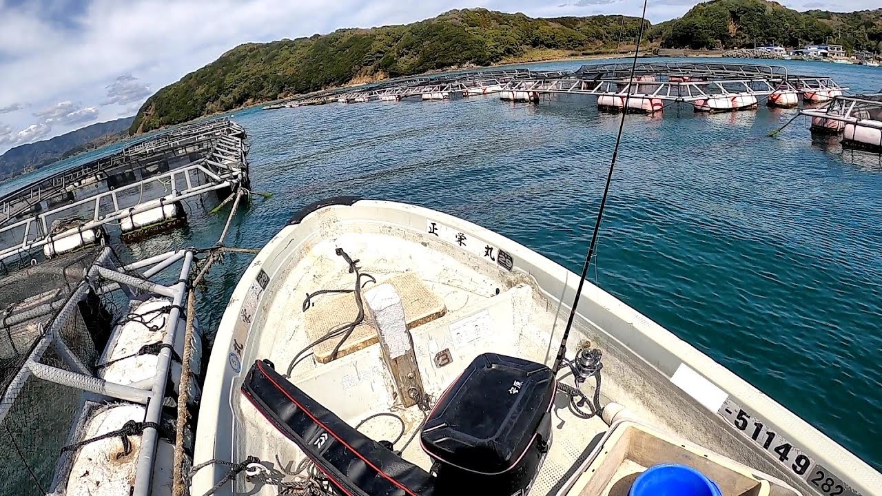 養殖イケスに囲まれた場所に牡蠣を落としてみると… 【夢のロクマル #1】