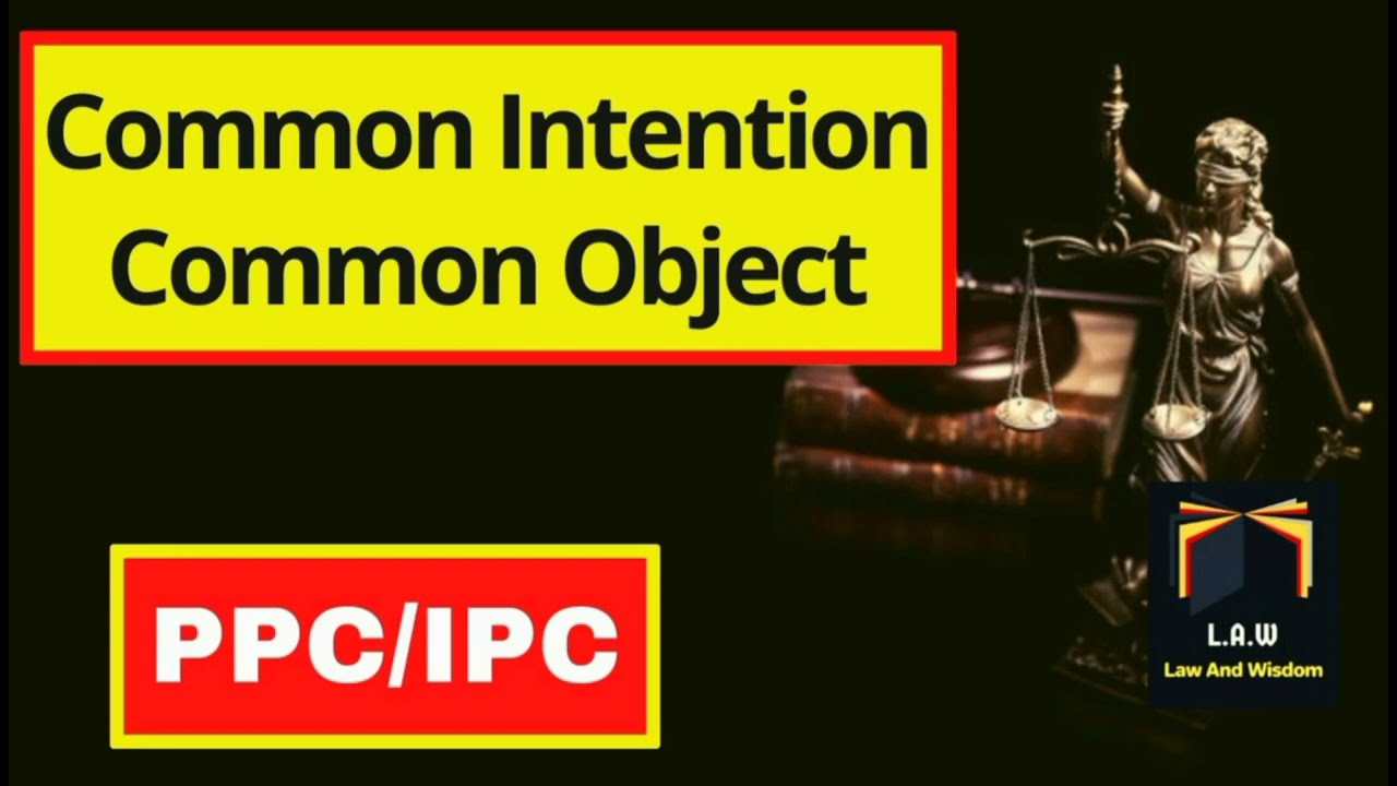 Common Intention & Common Object || PPC/IPC || LLB Part 3