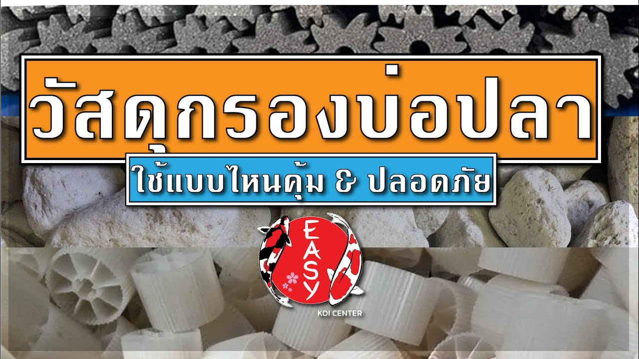 เลือกวัสดุกรองยังไงให้เหมาะกับบ่อปลาคาร์ฟเรา